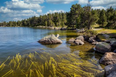 La Cerdanya 'da yaz manzarası, Pirenes Dağı Gölü, Katalonya, İspanya.