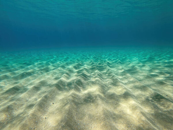 Подводная сцена из Испании. Средиземное море в Коста Браве, недалеко от деревни Паламос