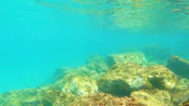 İspanyol Costa rava 'sında deniz yatağı, Akdeniz' de birçok kaya.