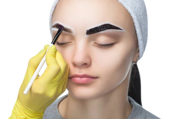 Make Artist Applies Paints Eyebrow Dye Eyebrows Young Girl Professional — Stock Photo, Image