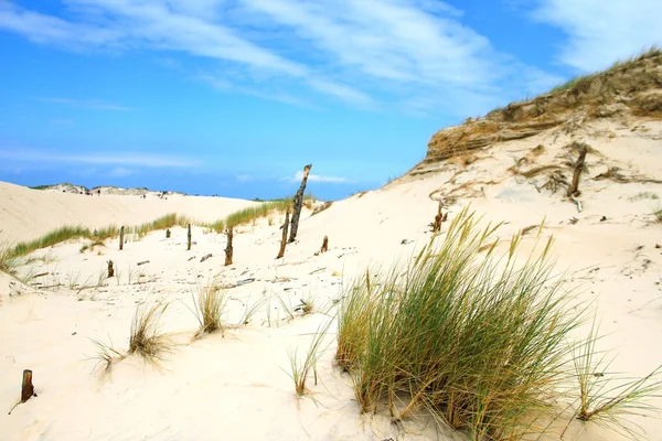 Sand dunes — Stock Photo, Image