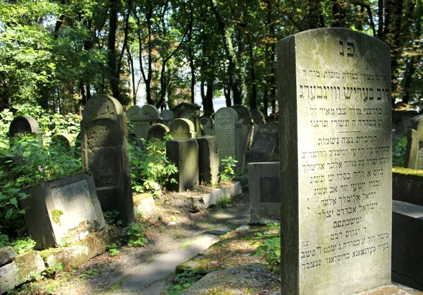 Nova cimentaria judaica, Kazimierz Cracóvia, Polónia — Fotografia de Stock