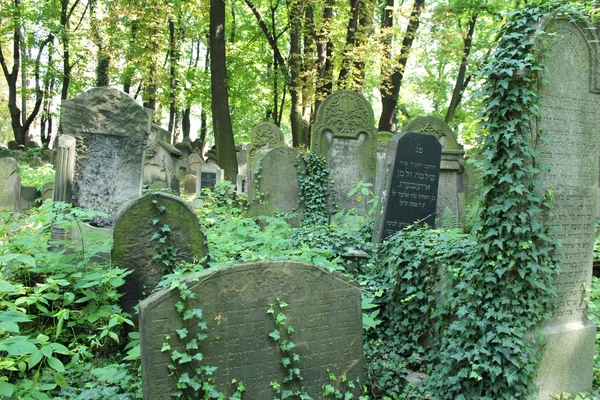 Nowy cmentarz żydowski, Kazimierz Kraków, Polska — Zdjęcie stockowe