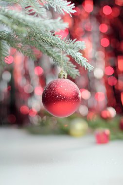 dalda asılı kırmızı Noel top