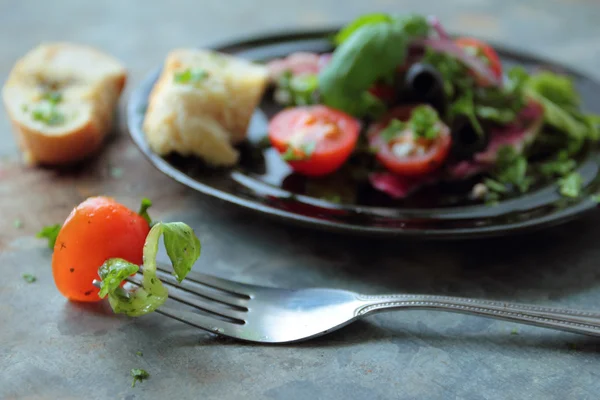 Taze salata — Stok fotoğraf