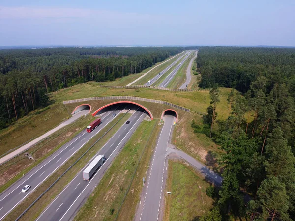 Autobahn Und Öko Kreuzung Für Die Fauna Ecoduct Querung Antenne — Stockfoto