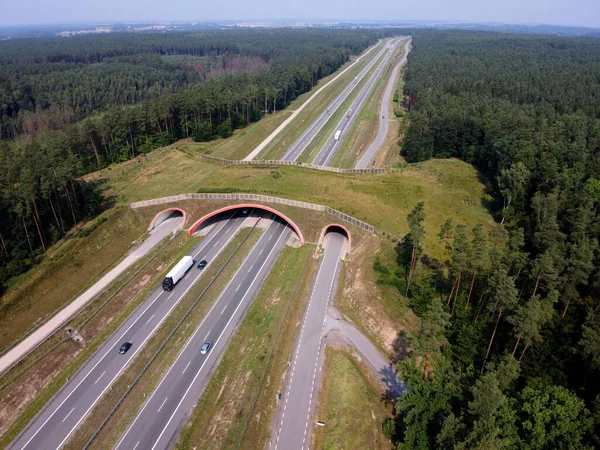 Motorway Eco Crossover Fauna Ecoduct Crossing Aerial Ecoduct Wildlife Bridge — Stock Photo, Image