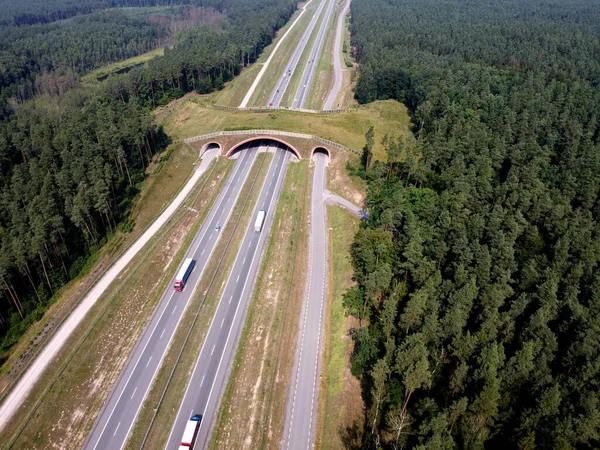 Aerial Wildlife Crossing Also Known Ecoduct Animal Overpass — Stock Photo, Image