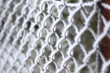 Donmuş çitler, çok soğuk bir kış sabahı donuyor.