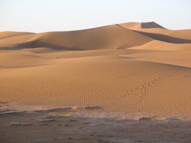çöl dunes