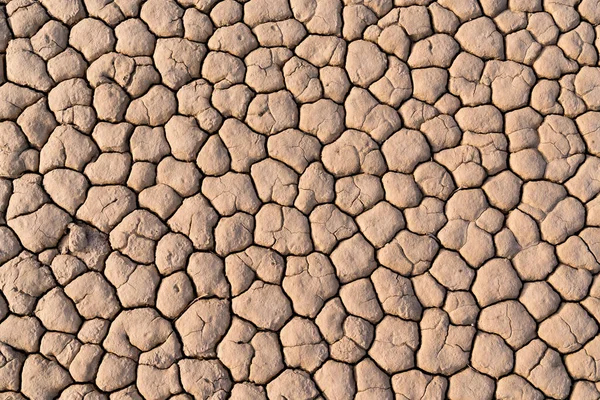 Dry Cracked Lake Bed Background Desert — Stock Photo, Image