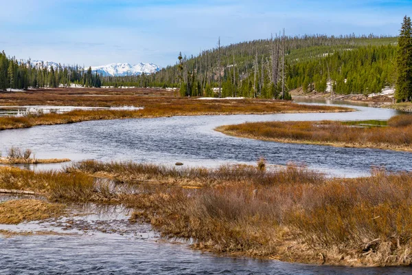 Snake River Καθώς Περιστρέφεται Και Ανέμους Μέσα Από Yellowstone Εθνικό — Φωτογραφία Αρχείου