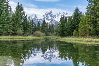 Grand Teton Ulusal Parkı, Wyoming 'deki Schwabacher Landing' deki Yılan Nehri 'ndeki Büyük Tetonlar' ın yansıması.