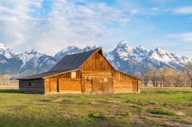 Tarihsel TA Moulton Barn Grand Teton Ulusal Parkı, Wyoming 'deki Mormon Sokağı boyunca.