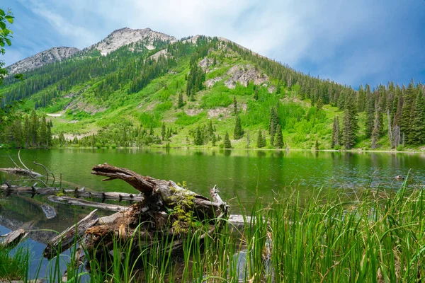 Beautiful Dollar Lake Gunnison National Forest Kebler Pass Colorado — Stock Photo, Image