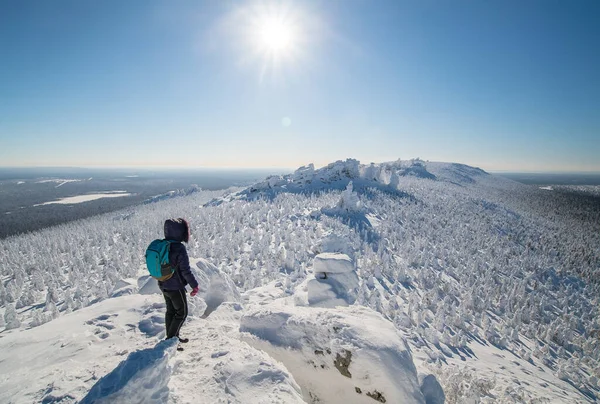 Turista Fica Topo Uma Montanha Inverno Polar Nevado Tempo Ensolarado — Fotografia de Stock