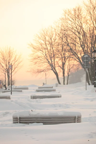 Park bench winter white snow — Stock Photo, Image