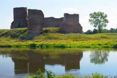 harabe kale üzerinde görüntüleyin. Kolo. Polonya
