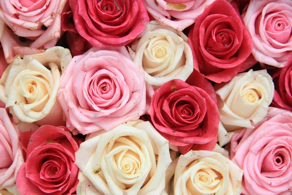 White and pink roses in arrangement — Stock Photo, Image