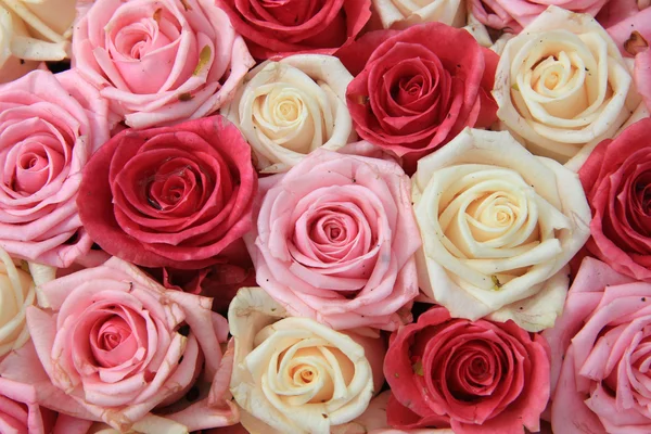 Rosas blancas y rosas en arreglo — Foto de Stock