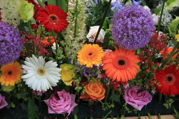 Mångfärgade blomsterarrangemang — Stockfoto