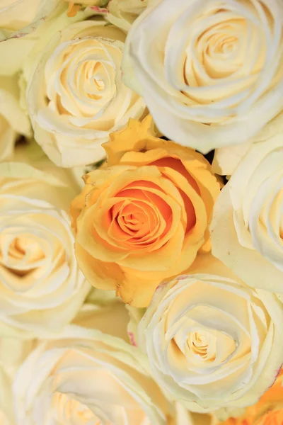 Witte en gele rozen in brdal bloemstuk — Stockfoto