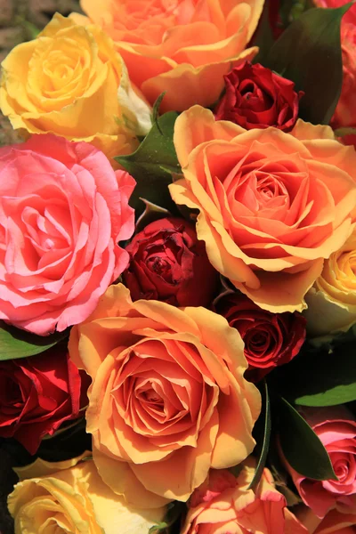 Смешанные розы в желтом, красном и оранжевом — стоковое фото
