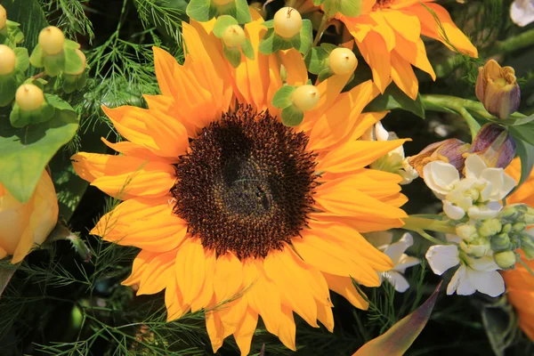 Sunflower arrangement — Stock Photo, Image