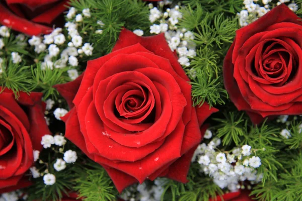 Červené růže, gypsophila — Stock fotografie