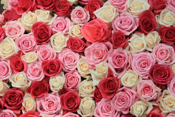 White and pink roses in arrangement — Stock Photo, Image