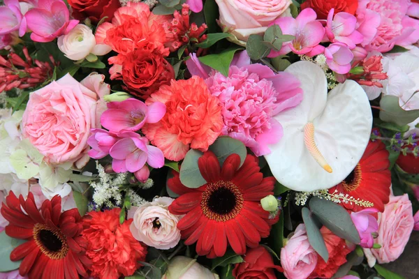 Arrangement floral mixte en rouge et rose — Photo