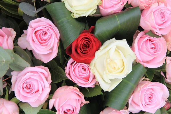 Rosas rojas, blancas y rosas — Foto de Stock