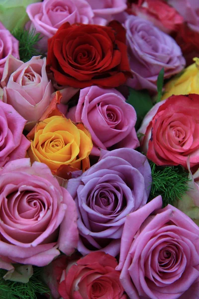 Mixed roses — Stock Photo, Image