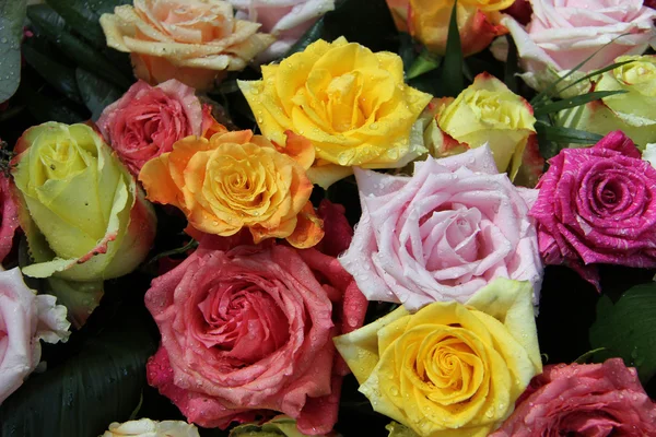 Ramo de rosas multicolores — Foto de Stock