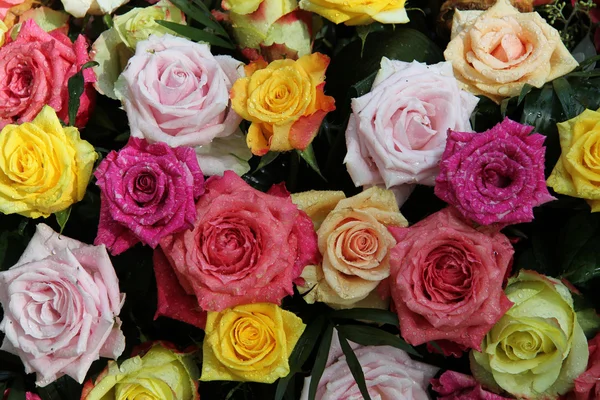 Veelkleurige roos boeket — Stockfoto
