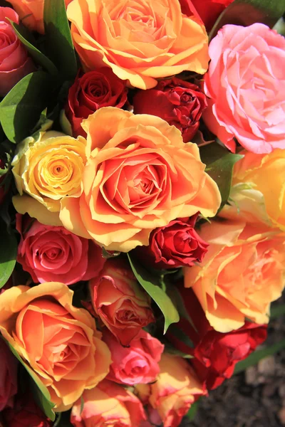 Gemengde rozen in geel, rood en oranje — Stockfoto