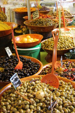 farklı tür-in zeytin