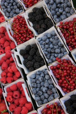 mavi ve kırmızı meyveler