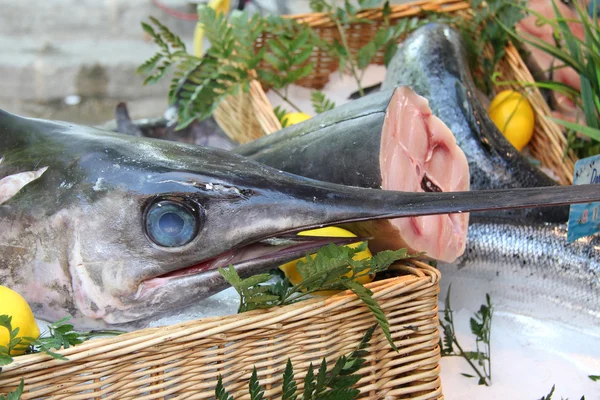 Swordfish at a French market — Stock Photo, Image