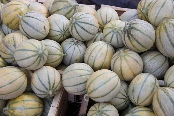 Melons at a market — Stock Photo, Image