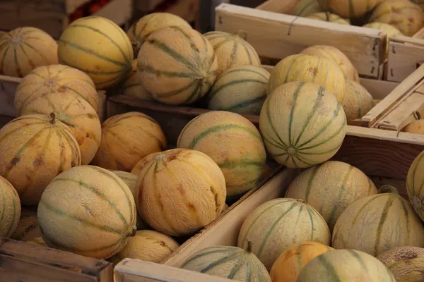 Melões em um mercado — Fotografia de Stock