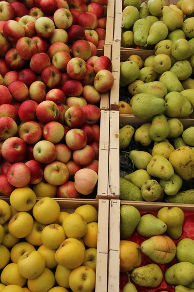 Äpfel und Birnen — Stockfoto