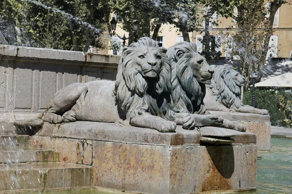 Leões perto de uma fonte — Fotografia de Stock