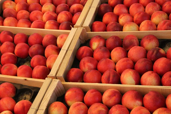 Peaches in wooden crates — Stock Photo, Image