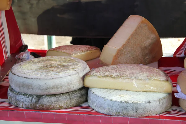 Cheese at a French market — Stock Photo, Image