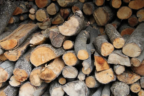 Stacked firewood — Stock Photo, Image