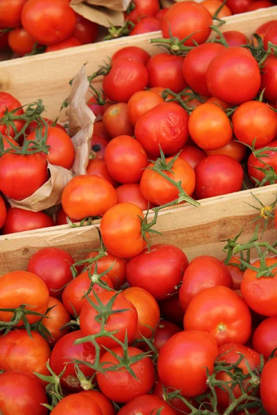 Tomates sur un marché français — Photo