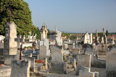 provence'nın eski mezarlıkta