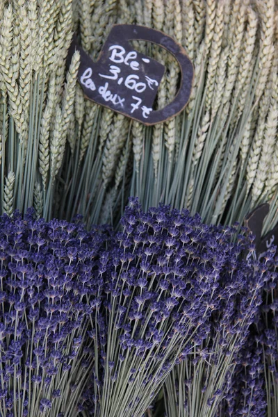 Bouquets de lavanda e trigo — Fotografia de Stock