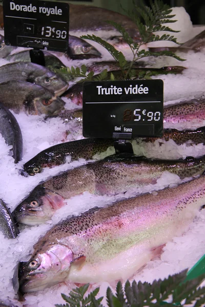 Peixes frescos num mercado de peixe — Fotografia de Stock